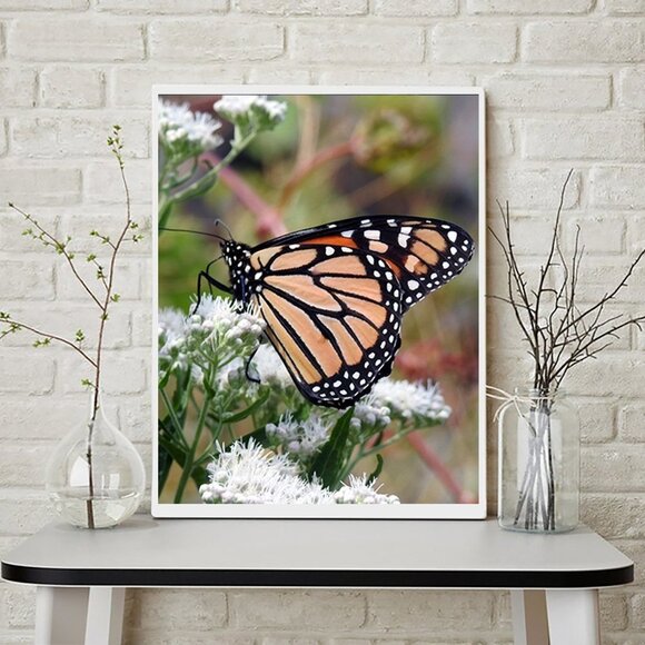 NobleCaptures Other - Monarch Butterfly on a‎ Flower Photography Oil Painting Art Print